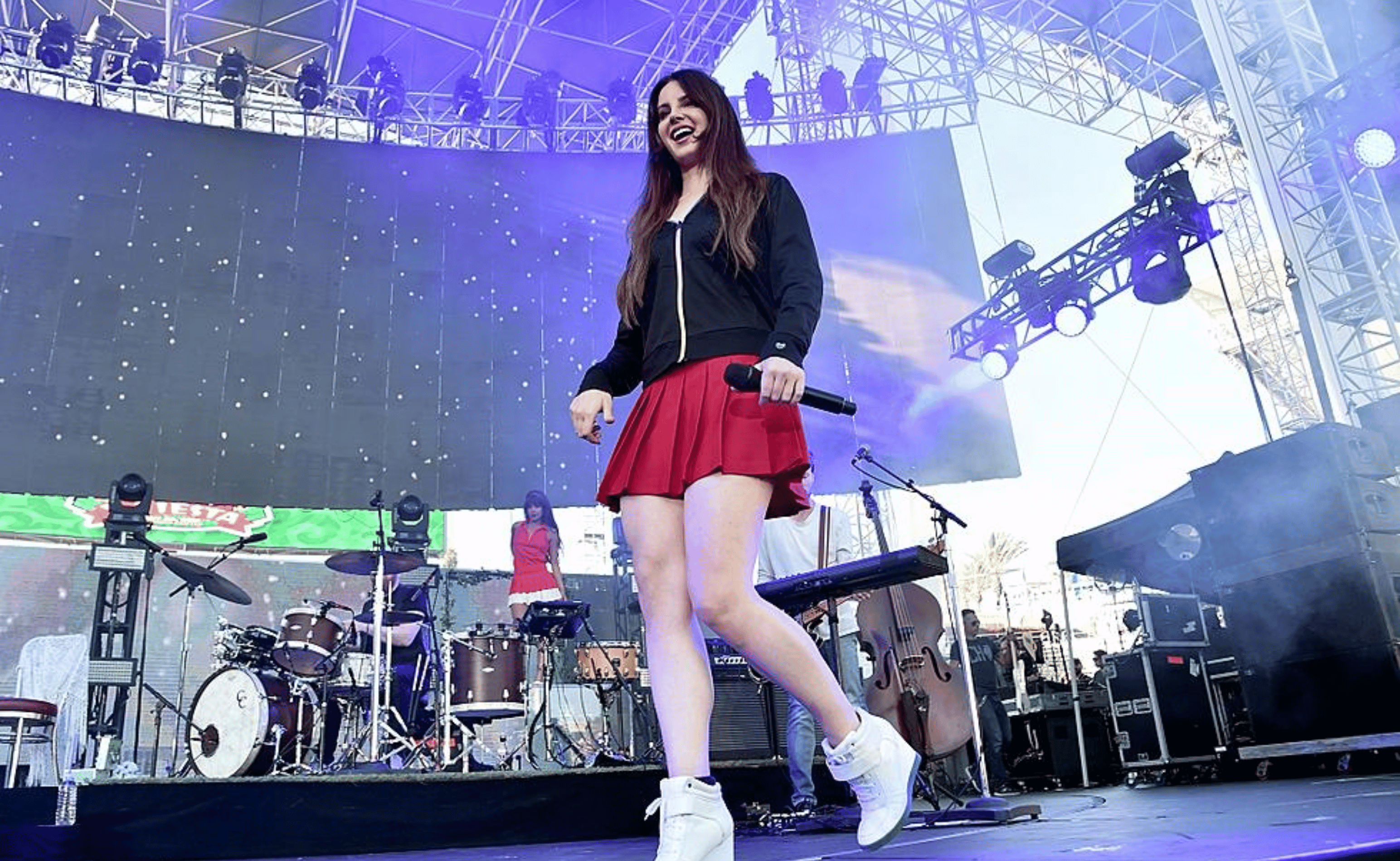 is lana del rey married