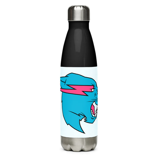 Mr Beast Stainless Steel Water Bottle