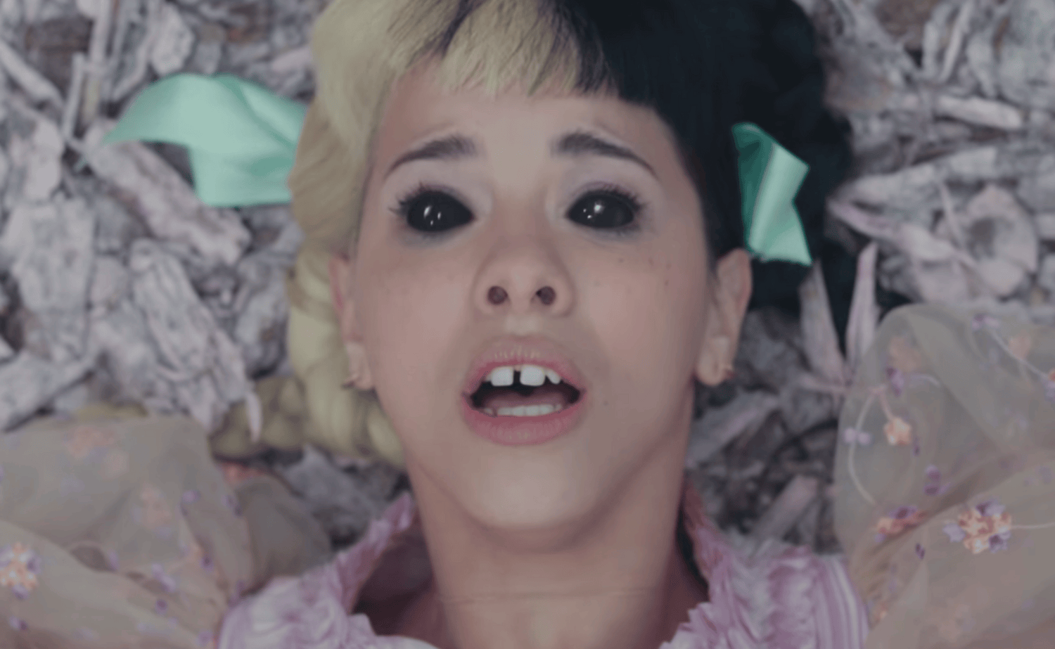 is melanie martinez vegan