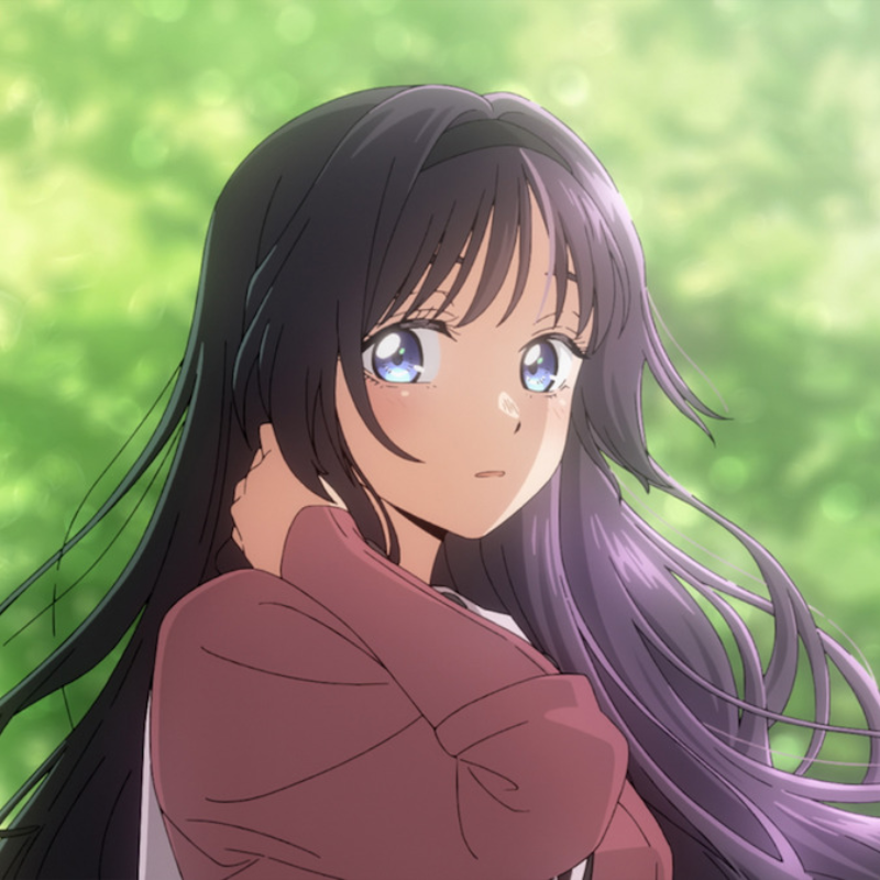 Anime Merch