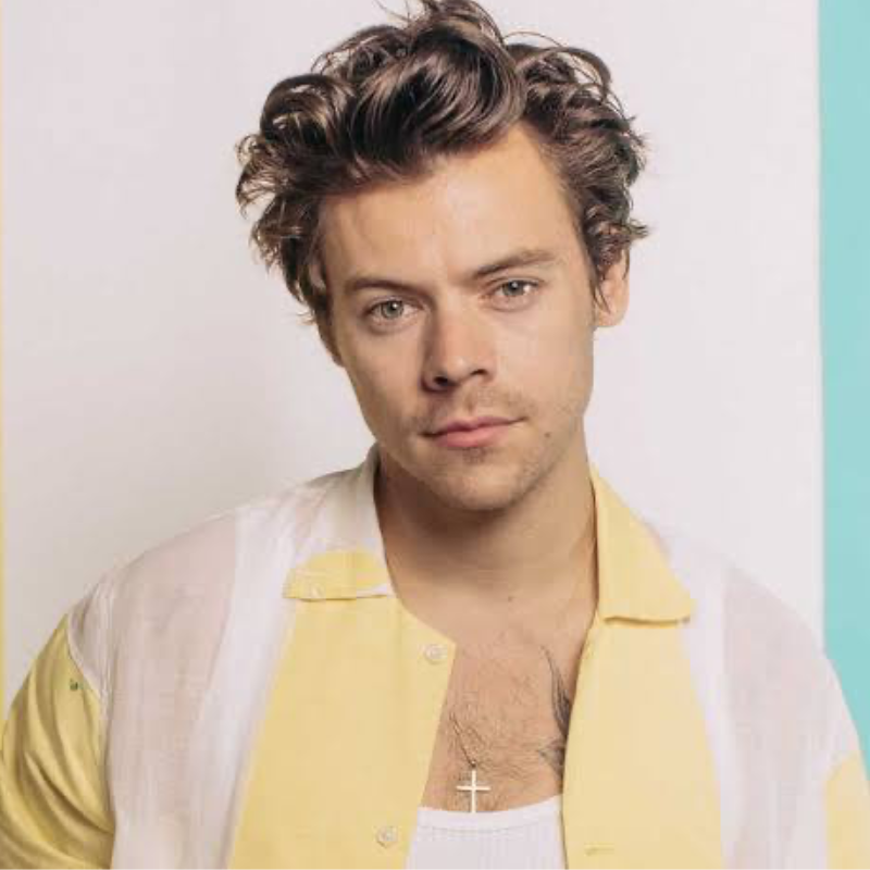 Harry Styles Merch