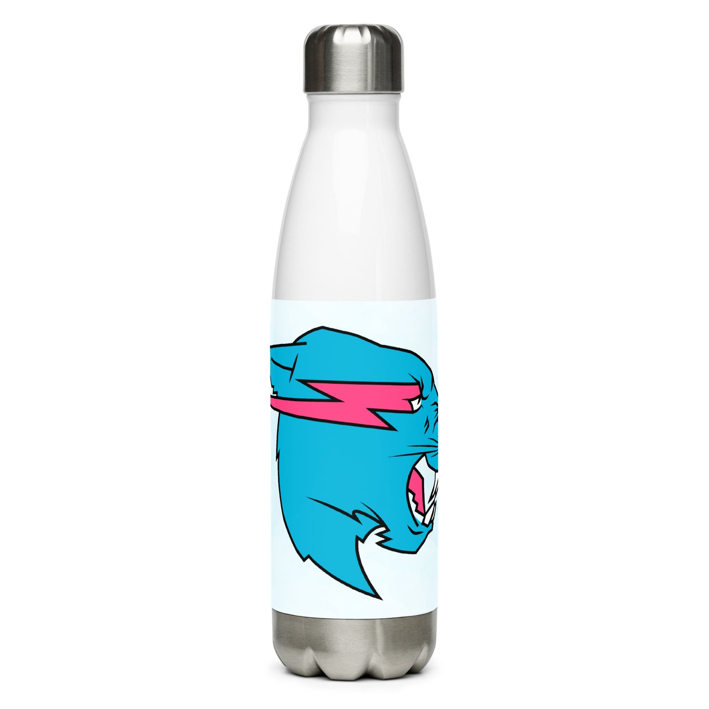 Mr Beast Stainless Steel Water Bottle