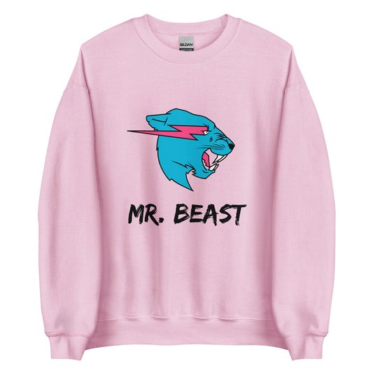 Mr Beast Sweatshirt