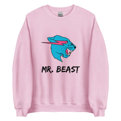 Mr Beast Sweatshirt